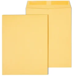 Staples Gummed Kraft Catalog Envelopes, 9.5"L x 12.5"H, Brown, 100/Box (SPL534743)* Catalog