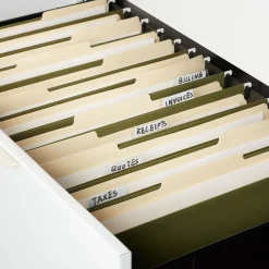 Staples Heavy Duty Box Bottom Hanging File Folder, 2