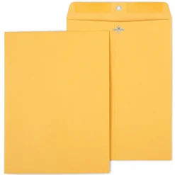 Staples Kraft Clasp & Moistenable Glue Catalog Envelopes, 9" x 12", Brown, 100/Box (ST187021-CC)* Security Tinted