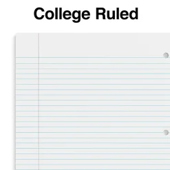 Staples Premium 2-Subject Notebook, 8.5