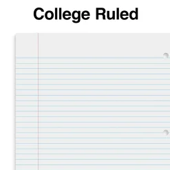 Staples Premium 5-Subject Notebook, 8.5