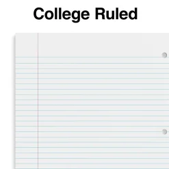 Staples Premium 5-Subject Subject Notebook, 8.5