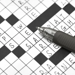 Staples ProGel™ Retractable Gel Pen, Fine Point, 0.7mm, Black Ink, Dozen (ST62095) Sale