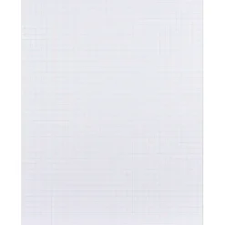 Staples ® Quadrille Graph Pads, 50 Sheets, 4 Squares Per Inch, White, 8 1/2"H x 11"W, 36/Ct Clearance