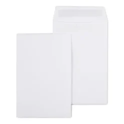 Staples Self Seal #1 Catalog Envelopes, 6"L x 9"H, White, 100/Box (SPL609121)* Catalog