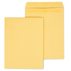 Staples Self Seal Kraft Catalog Envelopes, 9.5"L x 12.5"H, Brown, 100/Box (SPL381962)* Catalog