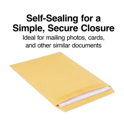 Staples Self Seal Kraft Catalog Envelopes, 9.5"L x 12.5"H, Brown, 100/Box (SPL381962)* Catalog