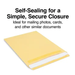Staples Self Seal Kraft Catalog Envelopes, 9"L x 12"H, Brown, 250/Box (486931/14245)* Catalog