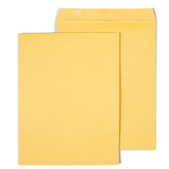 Staples Self Seal Kraft Catalog Envelopes, 12" x 15.5", Brown, 100/Box (534826/17102)* Catalog