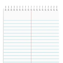Staples Steno Pad, 6