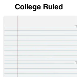 Staples 5-Subject Notebook, 8.5