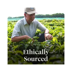 Keurig K-Cups<Starbucks Peppermint Mocha Coffee Keurig K-Cup Pods, Light Roast, 22/Box (12437832)