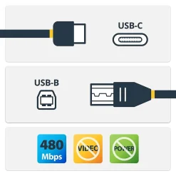 Ethernet Cables<StarTech 6' USB-C to USB-B Printer Cable, Male to Male, Black (USB2CB2M)