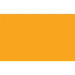 Tape Logic 3" x 9" Rectangle Inventory Label, Fluorescent Orange, 250/Roll Clearance