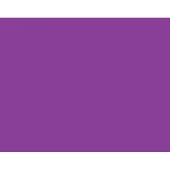 Tape Logic 5" x 7" Rectangle Inventory Label, Purple, 500/Roll New