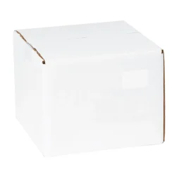 Tape Logic Block Out Labels, 2" x 3", White, 500/Roll (DL1382W)* Shipping Labels