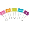 Teacher Created Resources Large Binder Clips, 1" Capacity, Multicolor, 5 Clips/Pack (TCR20690) Best