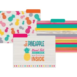 Teacher Created Resources Tropical Punch File Folders, 3-Tab, 11.75" x 9.5", Assorted Colors, 24/PK (TCR8538) Best