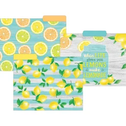Teacher Created Resources Lemon Zest File Folder, 1/3-Cut Tab, Letter Size, Assorted Colors, 24/Pack(TCR8542-2) Outlet