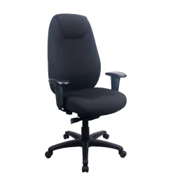 Hot Ergonomic Fabric Swivel Computer and Desk Chair, Black (TP6400-BLK) Office Chairs