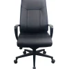Best Ergonomic Leather Swivel Executive Chair, Black (TP2500-BLKL) Office Chairs