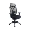 Best Mesh Back Fabric Computer and Desk Chair, Black (TP6450-BLKMB) Office Chairs