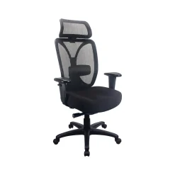 Best Mesh Back Fabric Computer and Desk Chair, Black (TP6450-BLKMB) Office Chairs