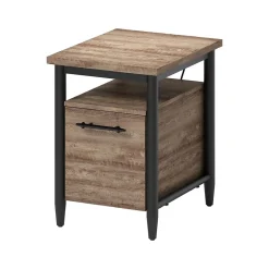 Online Breslyn Vertical File Cabinet, Letter/Legal Size, 22.2"H x 16"W x 20"D, Crosscut Hickory (SPLS-BRDF-TV) File Cabinets