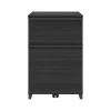 Discount Latimer 2-Drawer Vertical File Cabinet, Pedestal, Burnt Ash, 20.8"D (SPLS-LADF-TV) File Cabinets