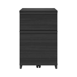 Discount Latimer 2-Drawer Vertical File Cabinet, Pedestal, Burnt Ash, 20.8"D (SPLS-LADF-TV) File Cabinets