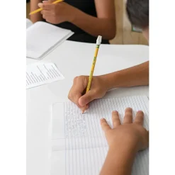 Ticonderoga Pre-Sharpened Wooden Pencil, 2.2mm, #2 Soft Lead, 30/Pack (X13830X) Outlet