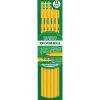 Ticonderoga The World's Best Pencil Wooden Pencil, 2.2mm, #2 Soft Lead, Dozen (X13882X) Hot