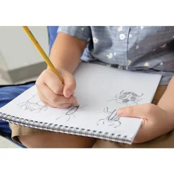 Ticonderoga The World's Best Pencil Wooden Pencil, 2.2mm, #2.5 Medium Lead, Dozen (X13885X) Best