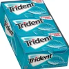 Gum & Mints<Trident Sugar Free Wintergreen Gum, 16 oz., 14 Pieces/Pack, 12/Pack (304-00058)