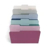 TRU RED ™ File Folders, 3-Tab, Letter Size, Assorted Jewel Tone Colors, 24/Pack (TR58171) New