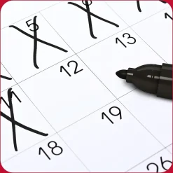 TRU RED ™ Permanent Marker, Fine Tip, Assorted, 12/Pack (TR54530) Best