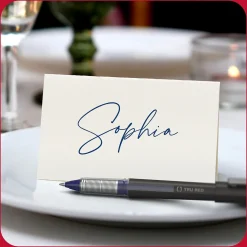 TRU RED ™ Rollerball Pens, Conical Tip, , Dozen/Pack (TR57322) Blue New