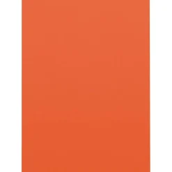 Clearance Tru-Ray 9" x 12" Construction Paper, Orange, 50 Sheets (P103002) Construction Paper