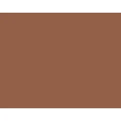 New Tru-Ray® Construction Paper, Warm Brown, 18" x 24", 50 Sheets Per Pack, 2 Packs (PAC103089-2) Construction Paper