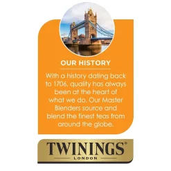 Tea<Twinings Cold Brewed English Classic Tea Bags, 20/Box (F07409)