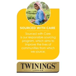 Tea<Twinings Cold Brewed English Classic Tea Bags, 20/Box (F07409)