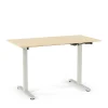 ™ Essentials 48"W Electric Rectangular Adjustable Standing Desk, Natural (UN60415-CC) Standing Desks
