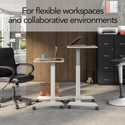 Discount ™ Essentials 24