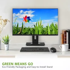 ViewSonic Ergonomic 24