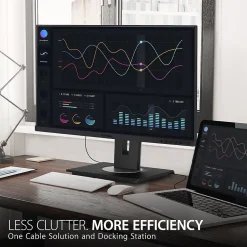 ViewSonic Ergonomic 24" 1080P 60Hz LCD Monitor, Black (VG2456)* Flat Monitors