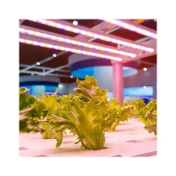 Light Bulbs<Viribright 11-Watt Full-Spectrum LED Leaf Grow Light Bulb (290108)