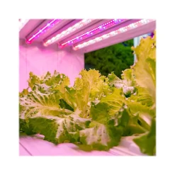 Light Bulbs<Viribright 11-Watt Full-Spectrum LED Leaf Grow Light Bulb (290108)