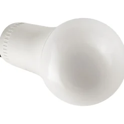 Light Bulbs<Viribright 17-Watt Soft White LED General-Purpose Bulb, 6/Box (450119-ES)