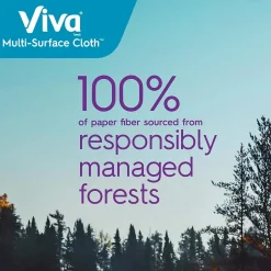 Paper Towels<Viva Choose-A-Sheet Multi-Surface Cloth Paper Towels, 2-Ply, 165 Sheets/Roll, 6 Rolls/Pack (53663)