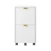 Best Breenly 2-Drawer Mobile Vertical File Cabinet, Letter/Legal Size, 28"H x 16"W x 20.63"D, Off-White/Gold (SPUS-BRMF-WH) File Cabinets